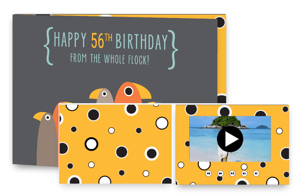 Happy 56th birthday from the whole flock!
