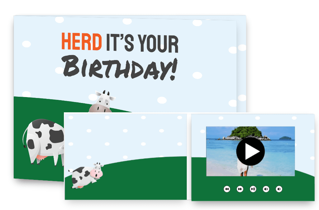 Herd it’s your Birthday!