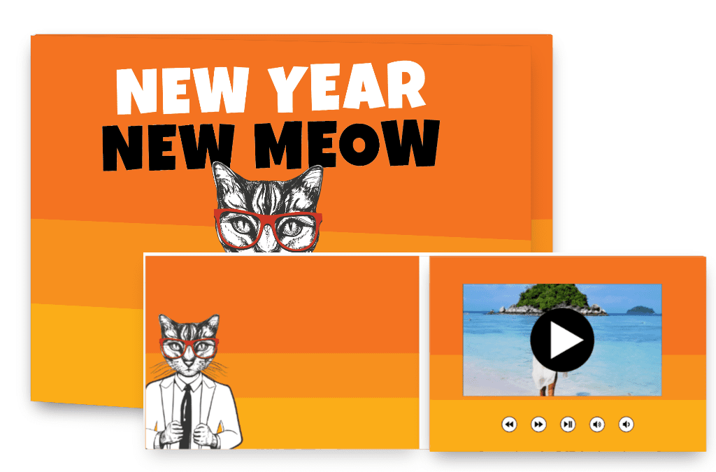 New year, new meow